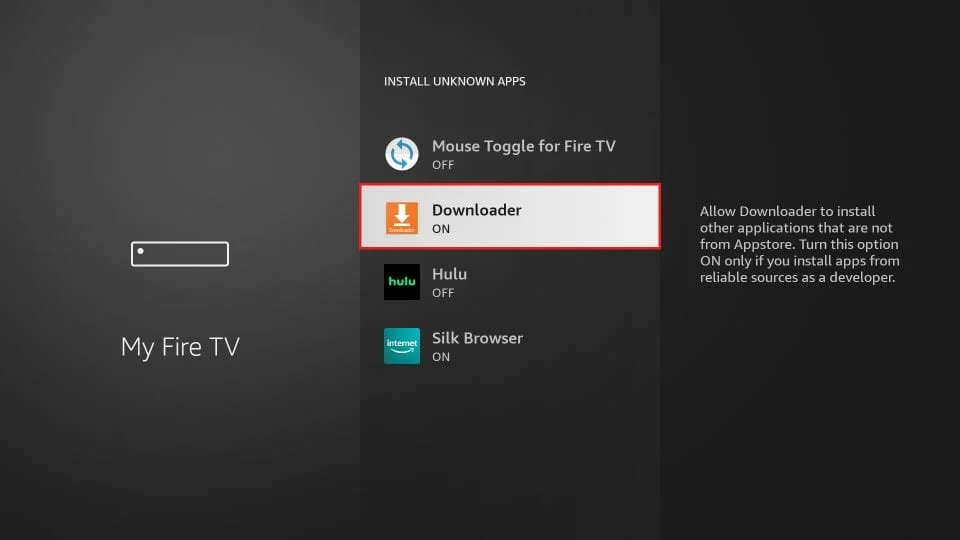 FireStick Developer Options screen with Downloader app enabled